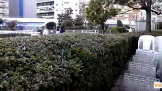 翘臀少妇成人一区二区🈲🈲桜井彩有无码番号么